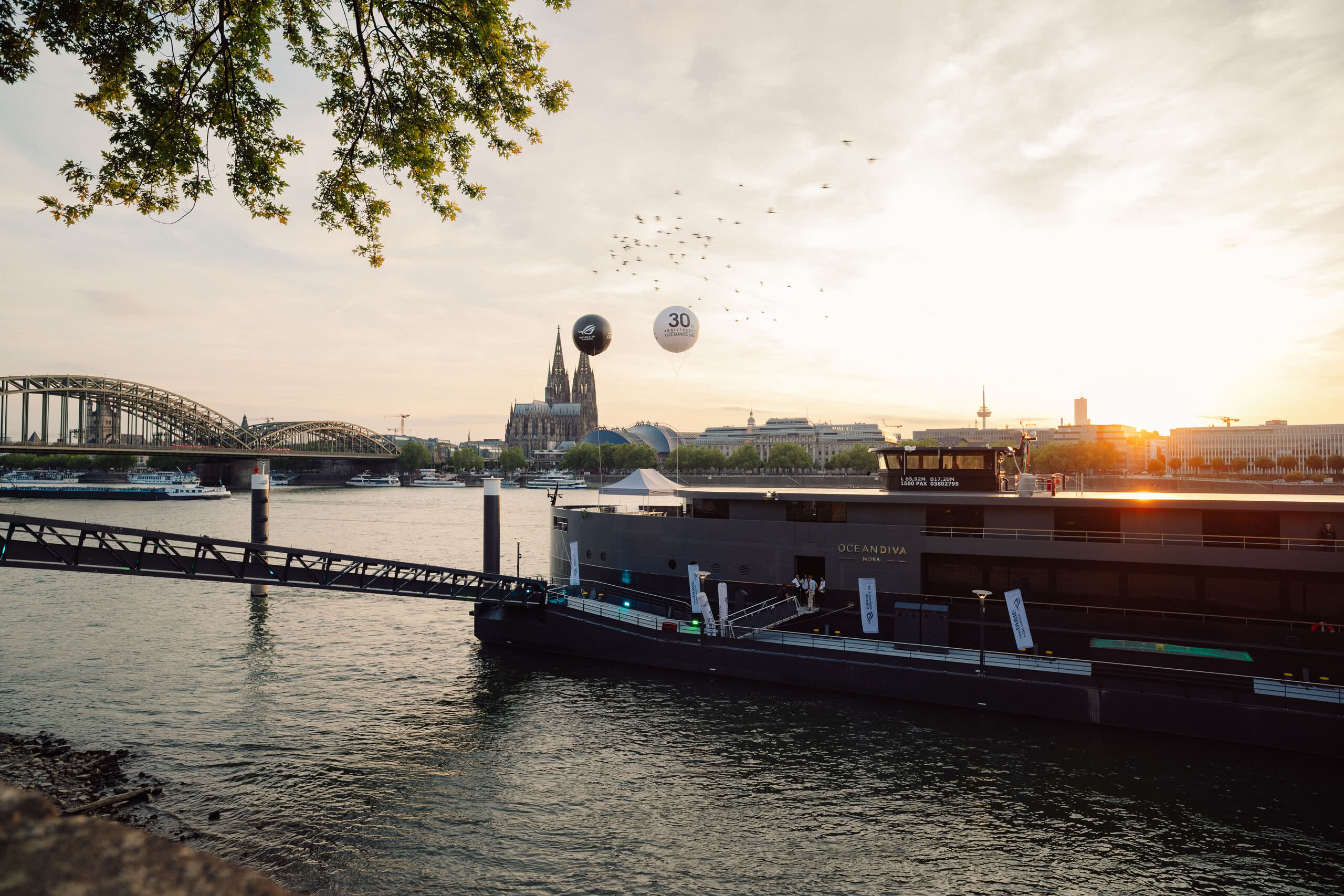 ASUS Sales & Media Lounge 2025, K&ouml;ln